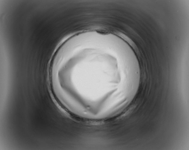 X0000086231055200704261852