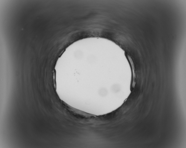 X0000086231057200704261852