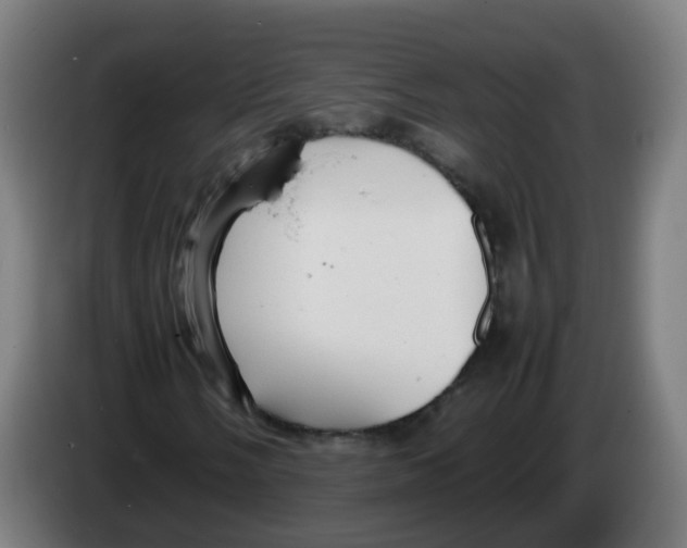 X0000086231058200704261852