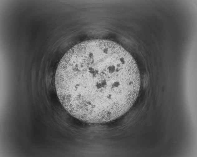 X0000086231059200704261852