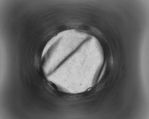 X0000086231060200704261852