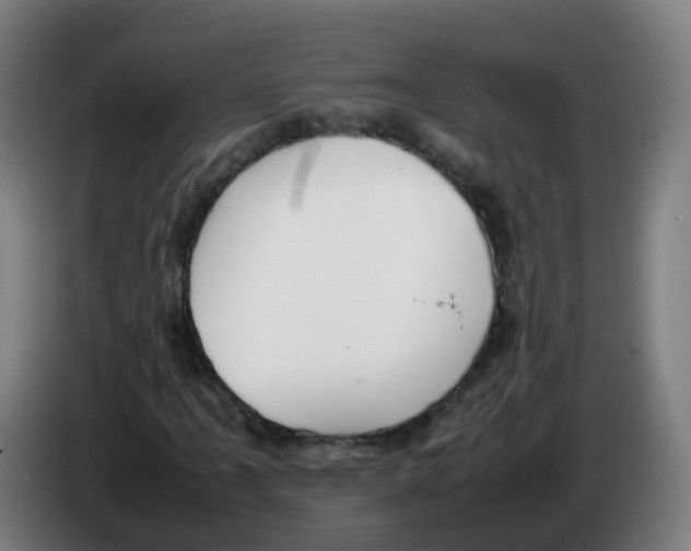 X0000086231061200704261852