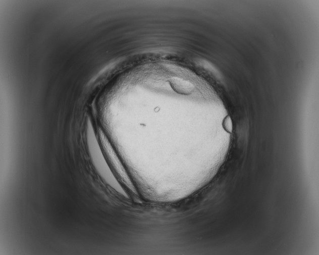 X0000086231064200704261852