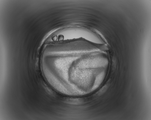 X0000086231066200704261852