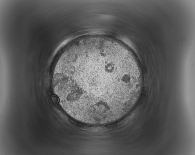 X0000086231067200704261852