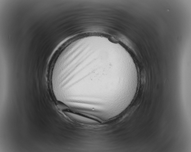 X0000086231068200704261852