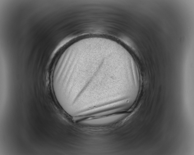 X0000086231070200704261851