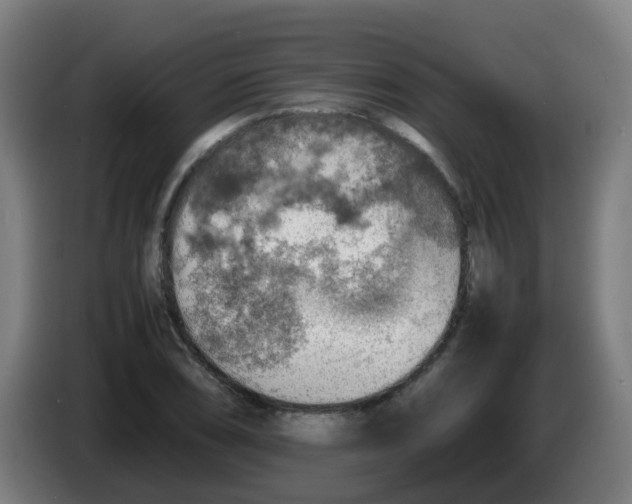 X0000086231074200704261851