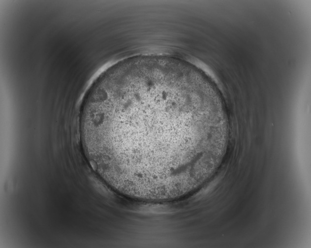 X0000086231075200704261851