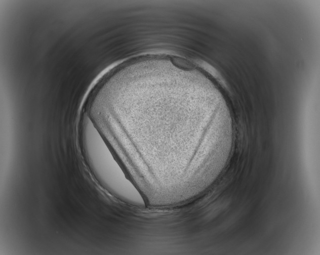 X0000086231076200704261851