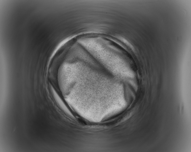 X0000086231077200704261851