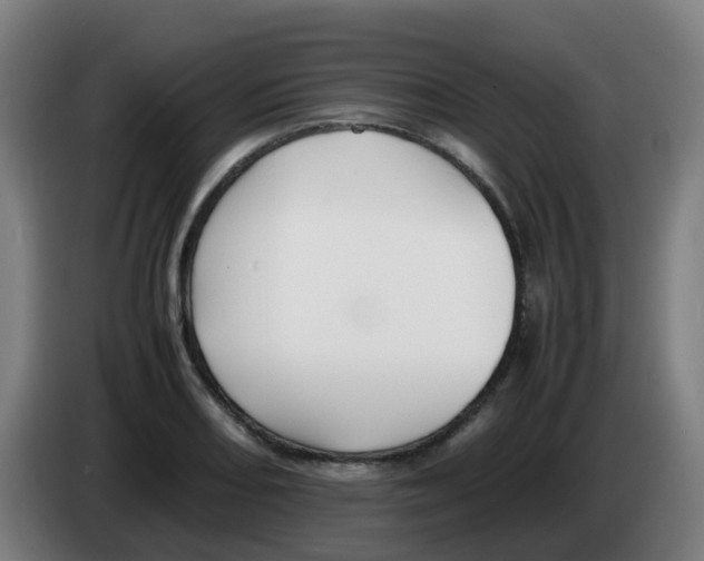 X0000086231082200704261851