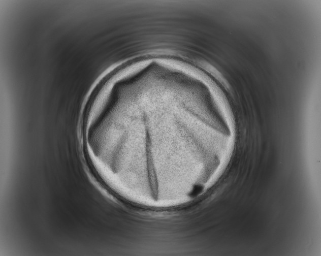 X0000086231084200704261851