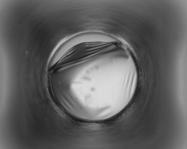 X0000086231085200704261851