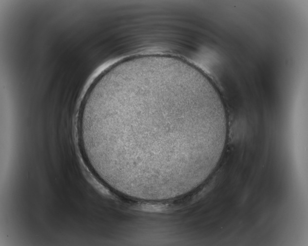 X0000086231086200704261851