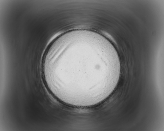 X0000086231087200704261851