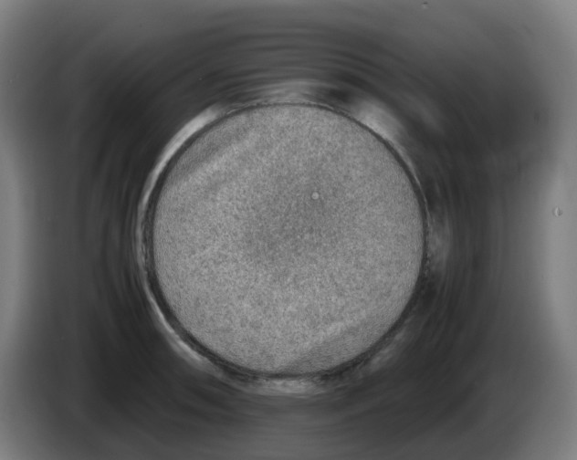 X0000086231090200704261851