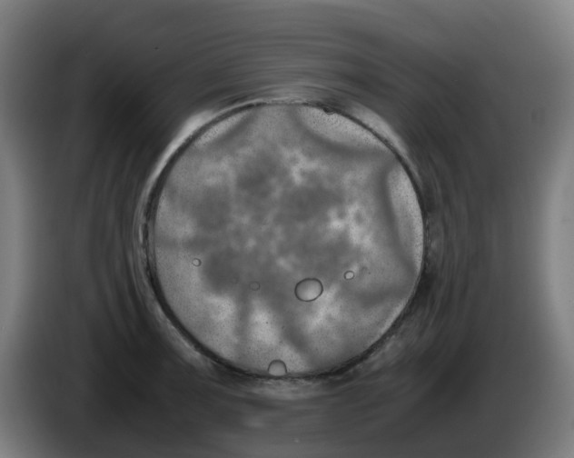 X0000086231091200704261851