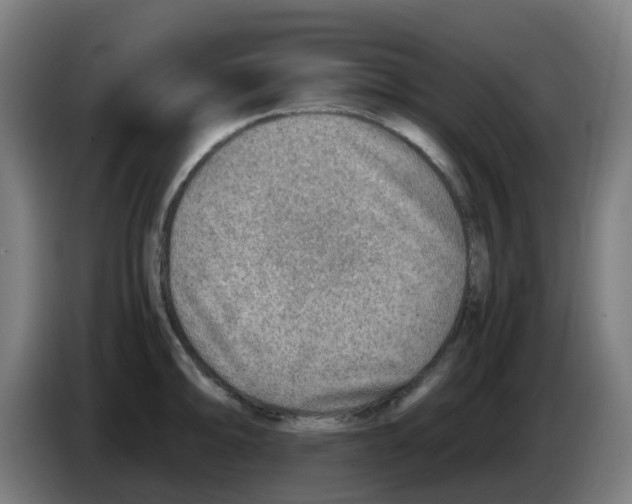 X0000086231094200704261851