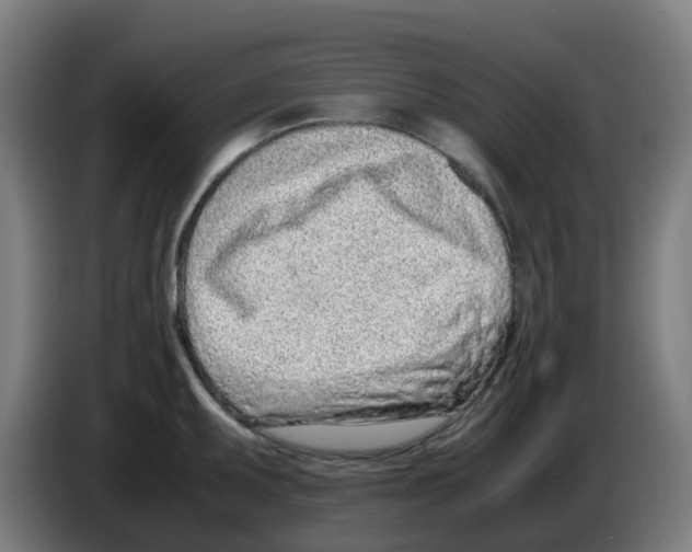 X0000086231095200704261851