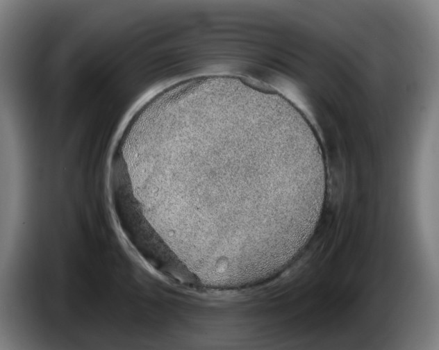 X0000086231096200704261851