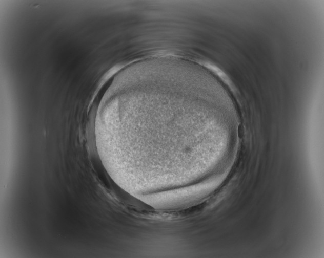 X0000086231097200704261851