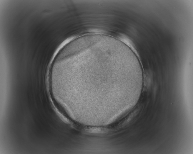 X0000086231098200704261851