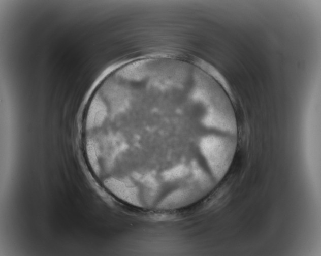 X0000086231099200704261851