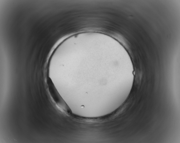 X0000086231102200704261851