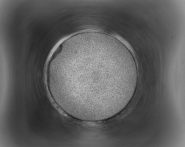 X0000086231104200704261851