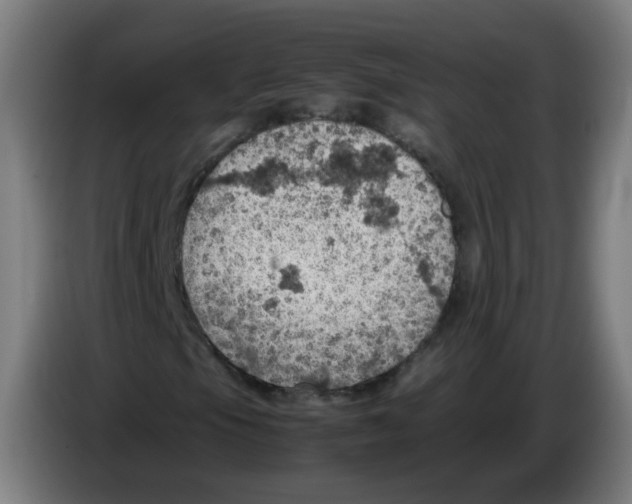 X0000086231105200704261850