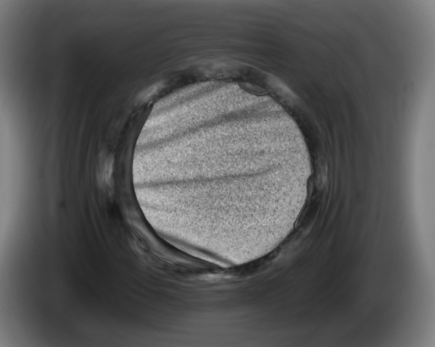 X0000086231108200704261850