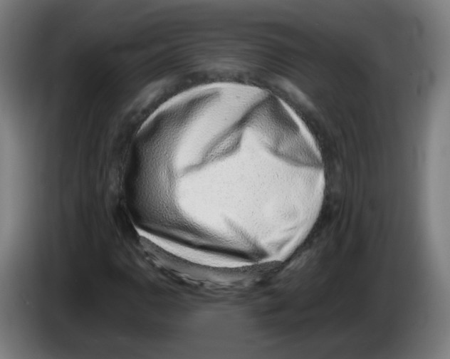 X0000086231110200704261850