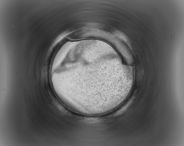 X0000086231114200704261851