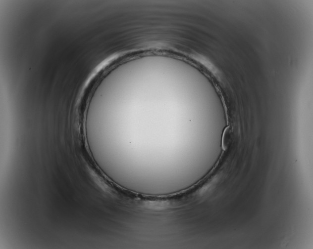 X0000086231118200704261851