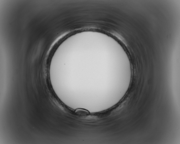 X0000086231119200704261851