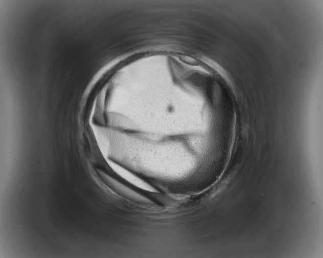 X0000086231120200704261851