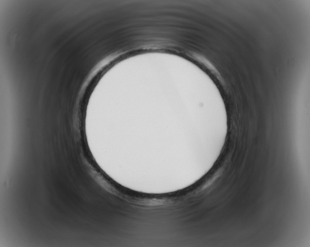 X0000086231122200704261851