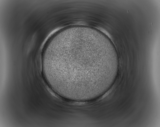 X0000086231123200704261851