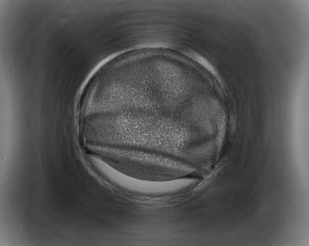 X0000086231124200704261851