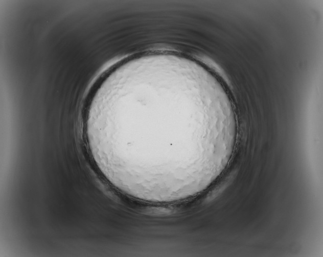 X0000086231125200704261851