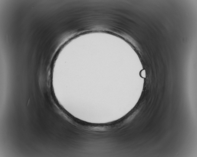 X0000086231126200704261851