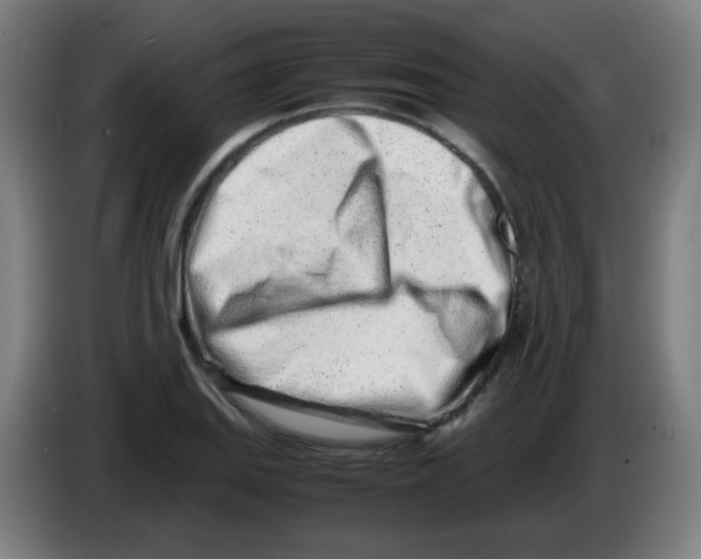 X0000086231127200704261851