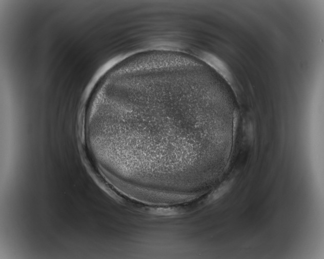 X0000086231128200704261851