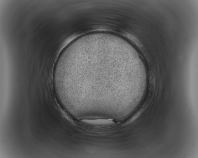 X0000086231129200704261851