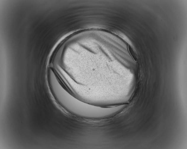 X0000086231132200704261851