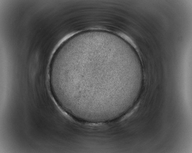 X0000086231133200704261851