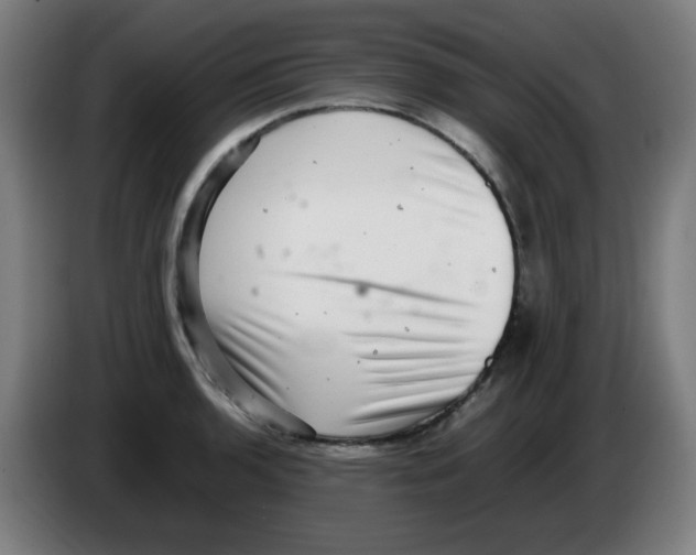 X0000086231136200704261851