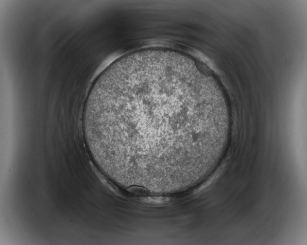 X0000086231137200704261851