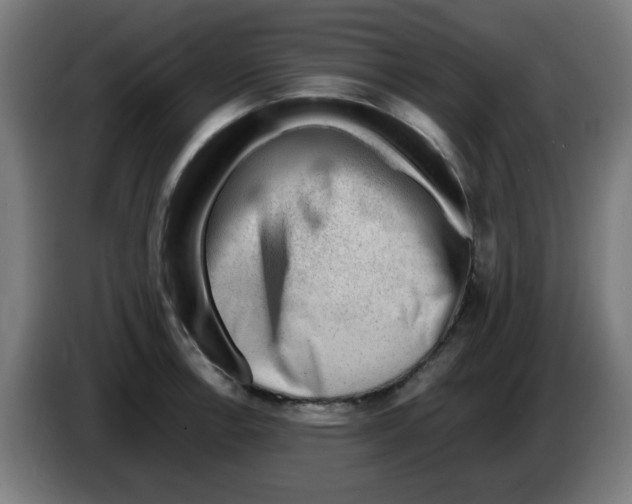 X0000086231138200704261851